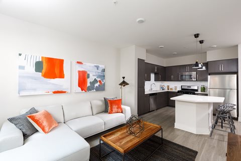 Living Room and Kitchen